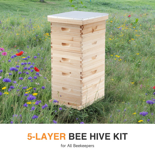 Bee Hive Boxes Starter Kit, Langstroth Beehive for Bee Keeping, 5 Layer Bee House with 4 Medium Storage Boxes & 1 Deep Brood Box, Beekeeping Supplies