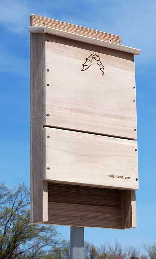 BestNest Single-Celled Bat House, 85 bats