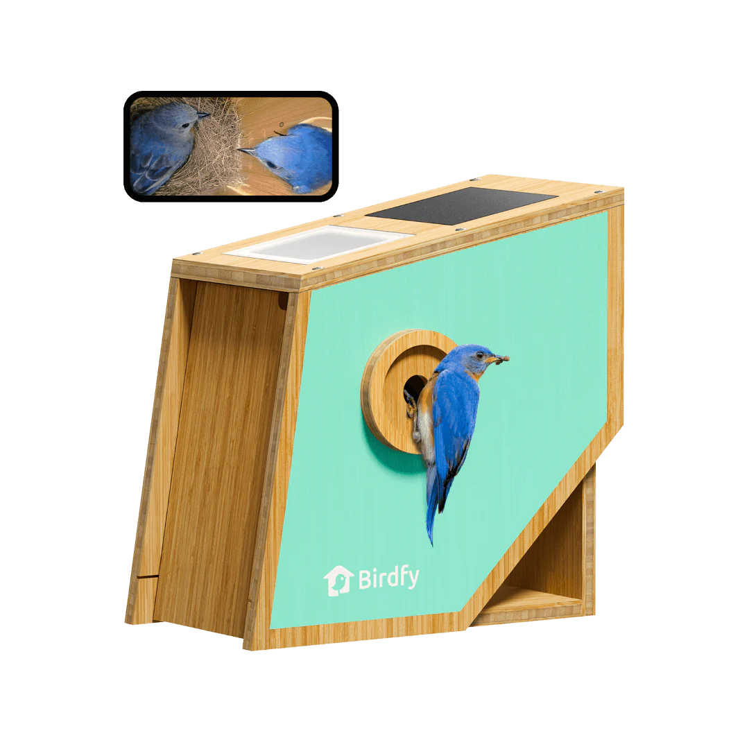 Birdfy Smart Bird Houses for Outside Solar Powered, 1080P HD Live View Bird House with Camera, Perfect Viewing Bird Nesting and Hatching, Bird Feeder with Camera for Most Birds