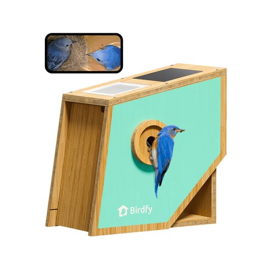 Birdfy Smart Bird Houses for Outside Solar Powered, 1080P HD Live View Bird House with Camera, Perfect Viewing Bird Nesting and Hatching, Bird Feeder with Camera for Most Birds