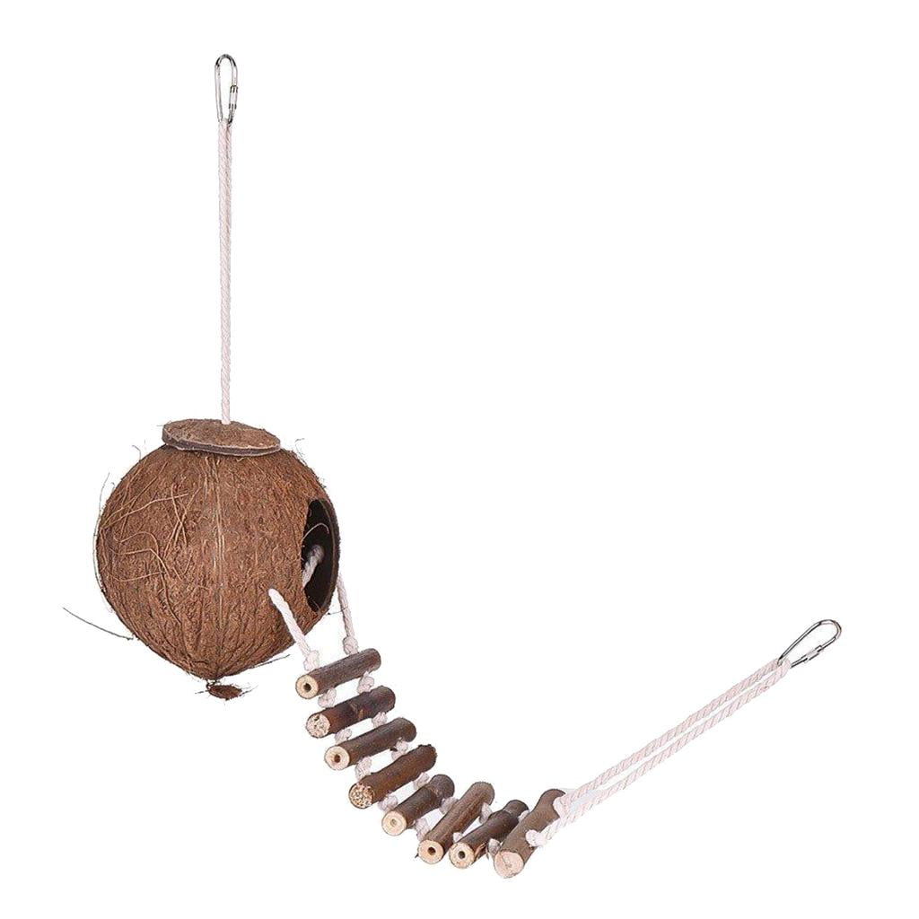 Coconut Bird Nest Hut with Ladder for Parrots Parakeet Cockatiel - Small Animals