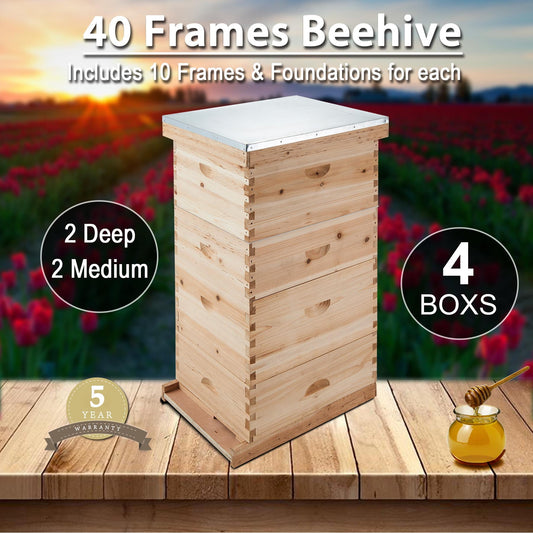 Premium Langstroth Bee Hive 8 Frame 2 Deep 2 Medium, All Frames & Foundations Included