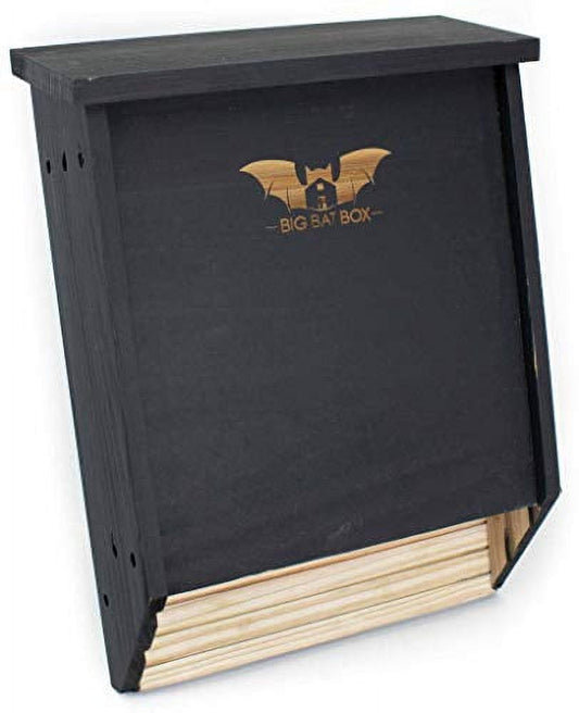 WildYard Premium 2-Chamber Unpainted Wooden Bat Shelter Kit, Multi-color