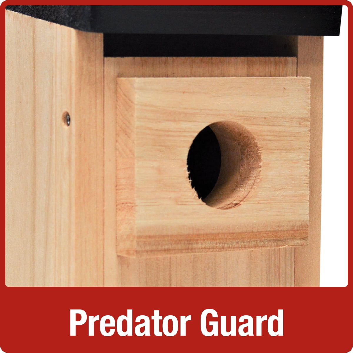Nature's Way Cedar Bluebird House, Brown