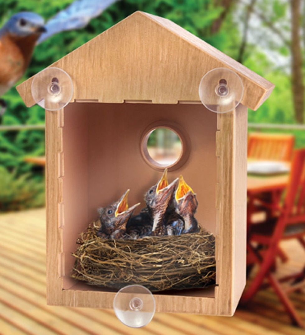 2 See Through One Way Mirrored Bird House - Suction Cup Window Mounted Bird Nesting Box