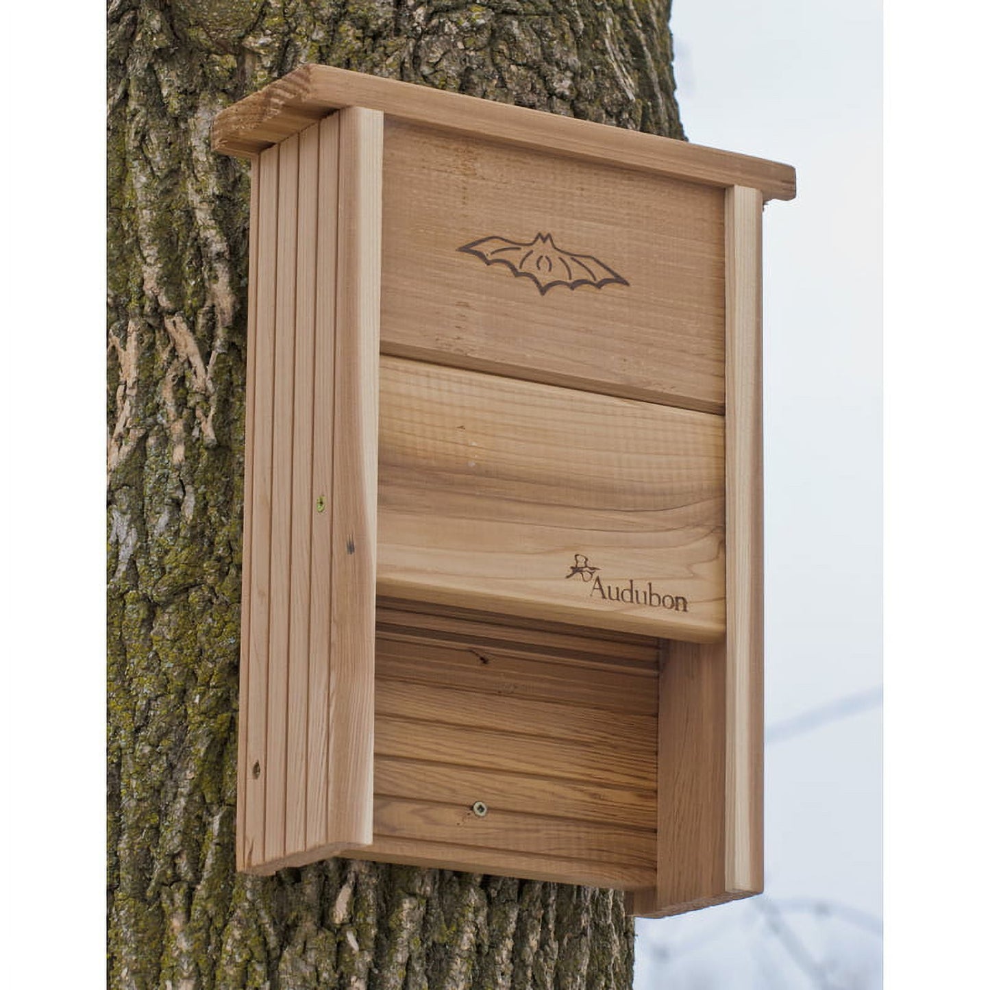 BAT HOUSE CEDAR 16""H (Pack of 1)