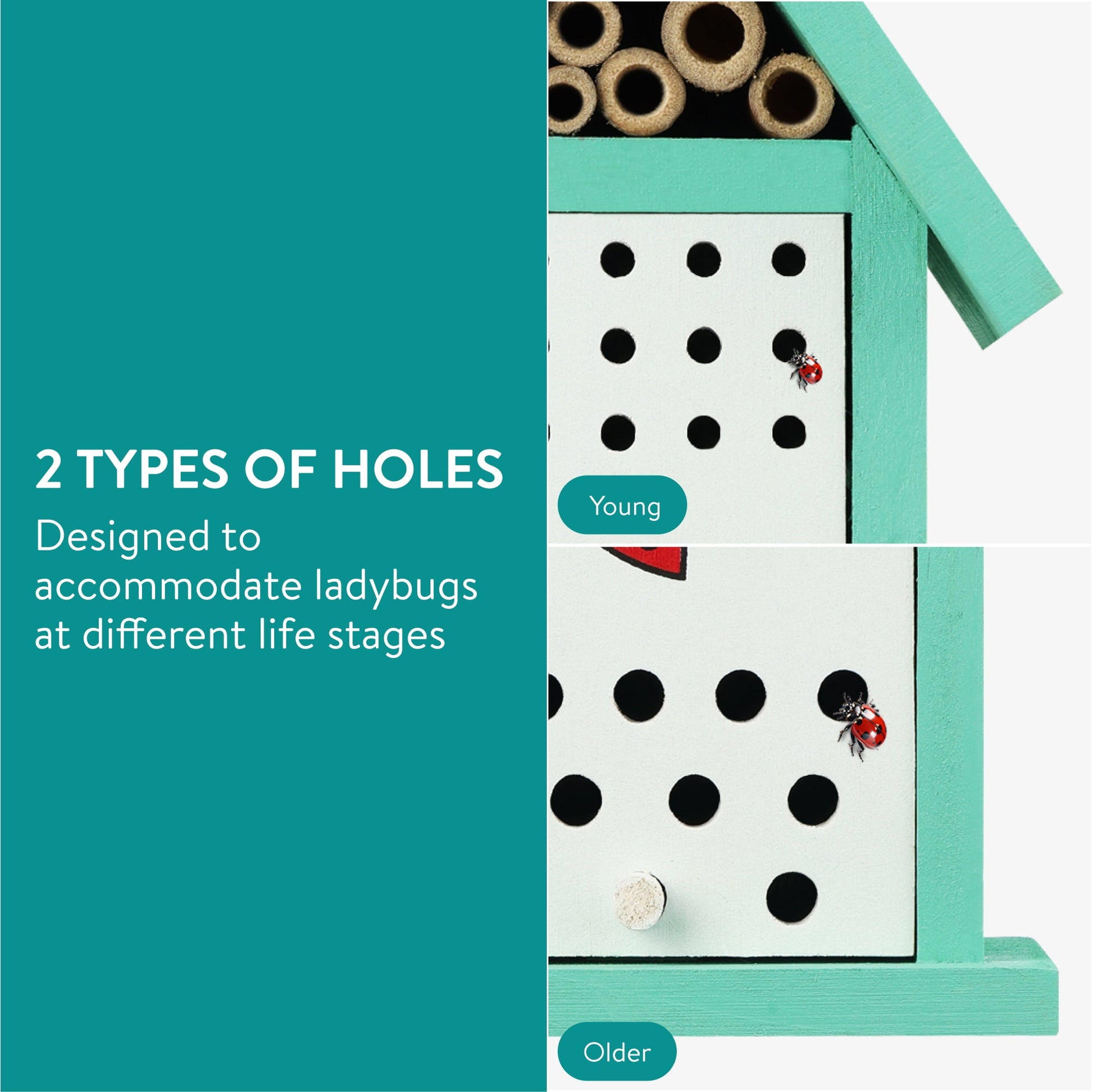 Navaris Ladybird House for Garden - Wooden Insect Hotel for Ladybirds Bees Insects - Wall Mounted Live Ladybug Habitat with Cleaning Door and Bee Nesting Tubes
