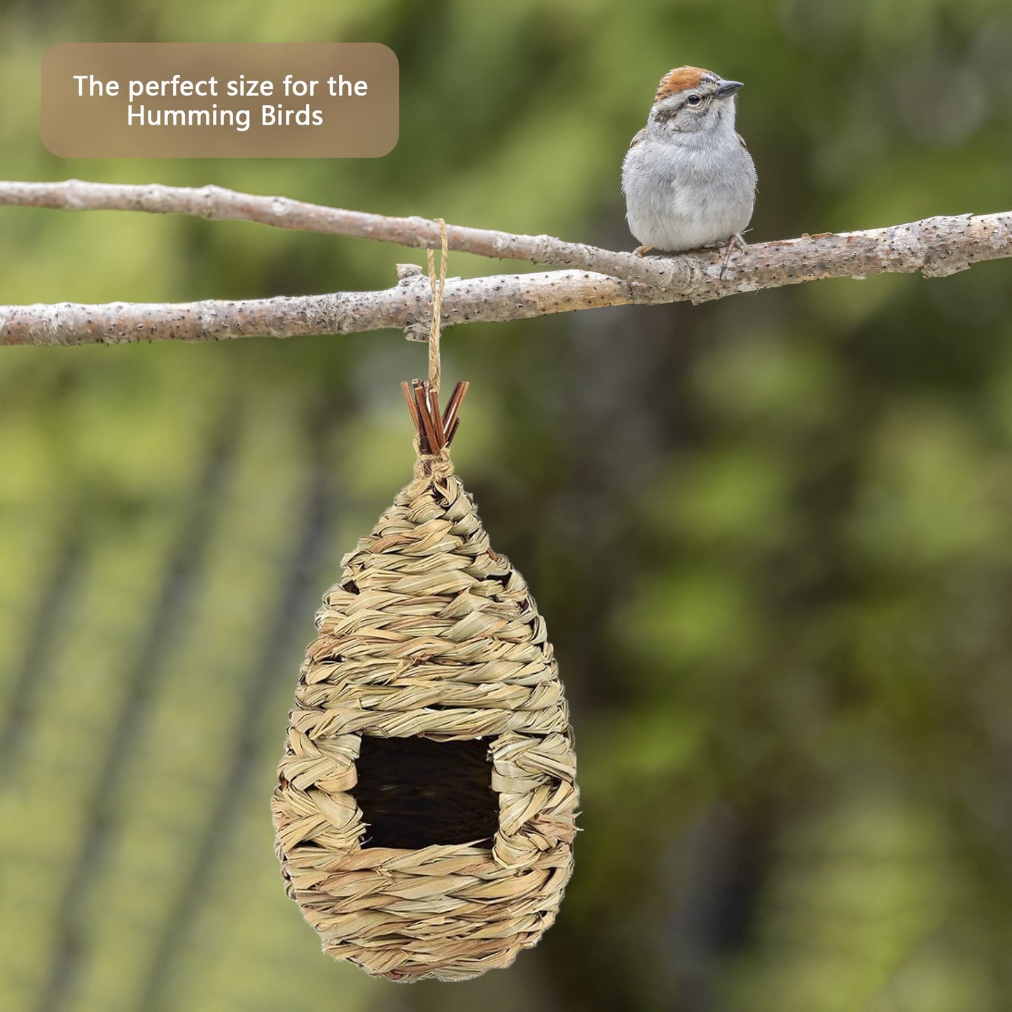 2PCS Hand Woven Hummingbird House,Bird Hut and Hummingbird Houses Nest, Small Hanging Bird & Chickadee House for Finch & Canary in Outdoor