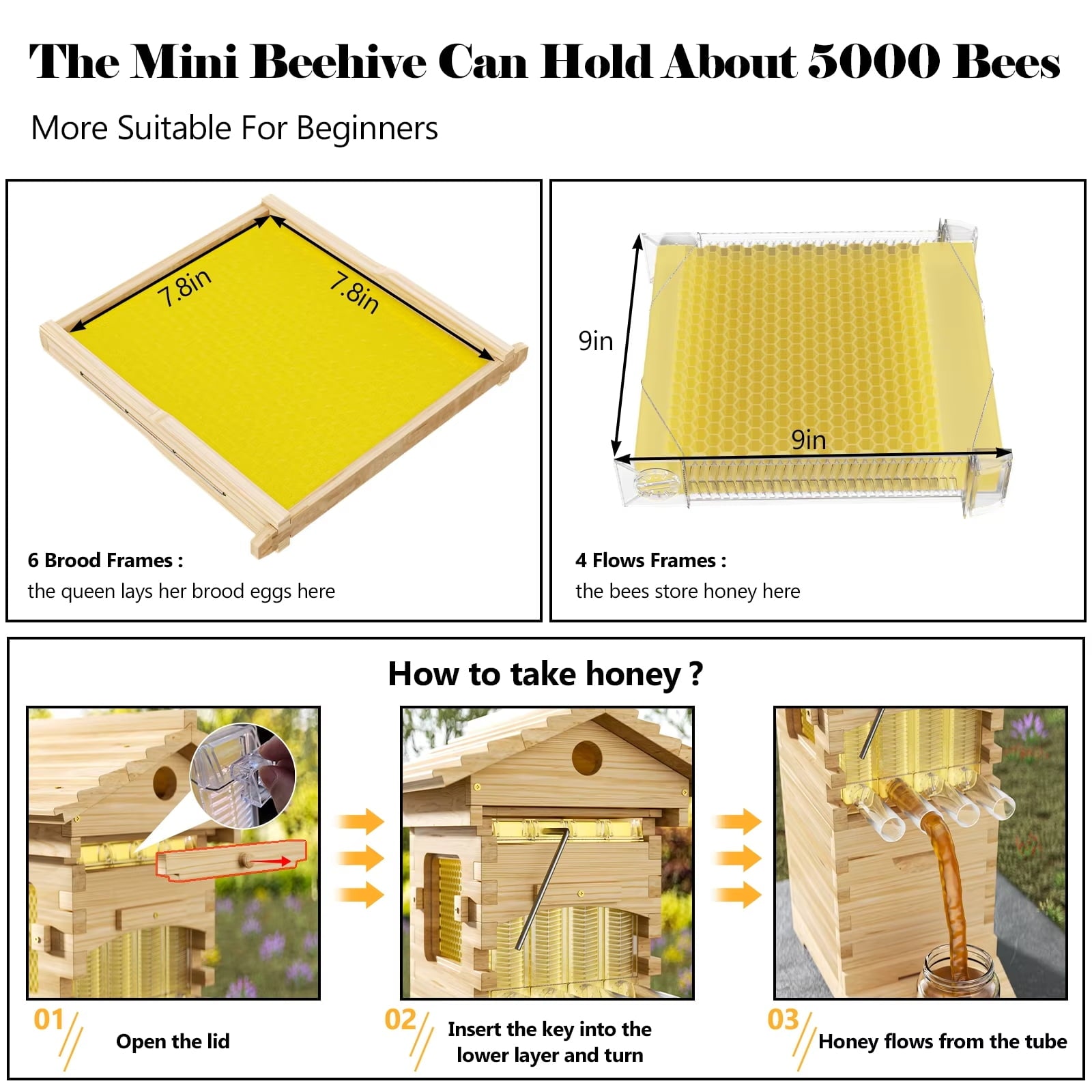 AUSHIVE Wax Coated Cedarwood Bee Beehive Kit with 4 Beehive Frames & 6 Brood Frames, Beige
