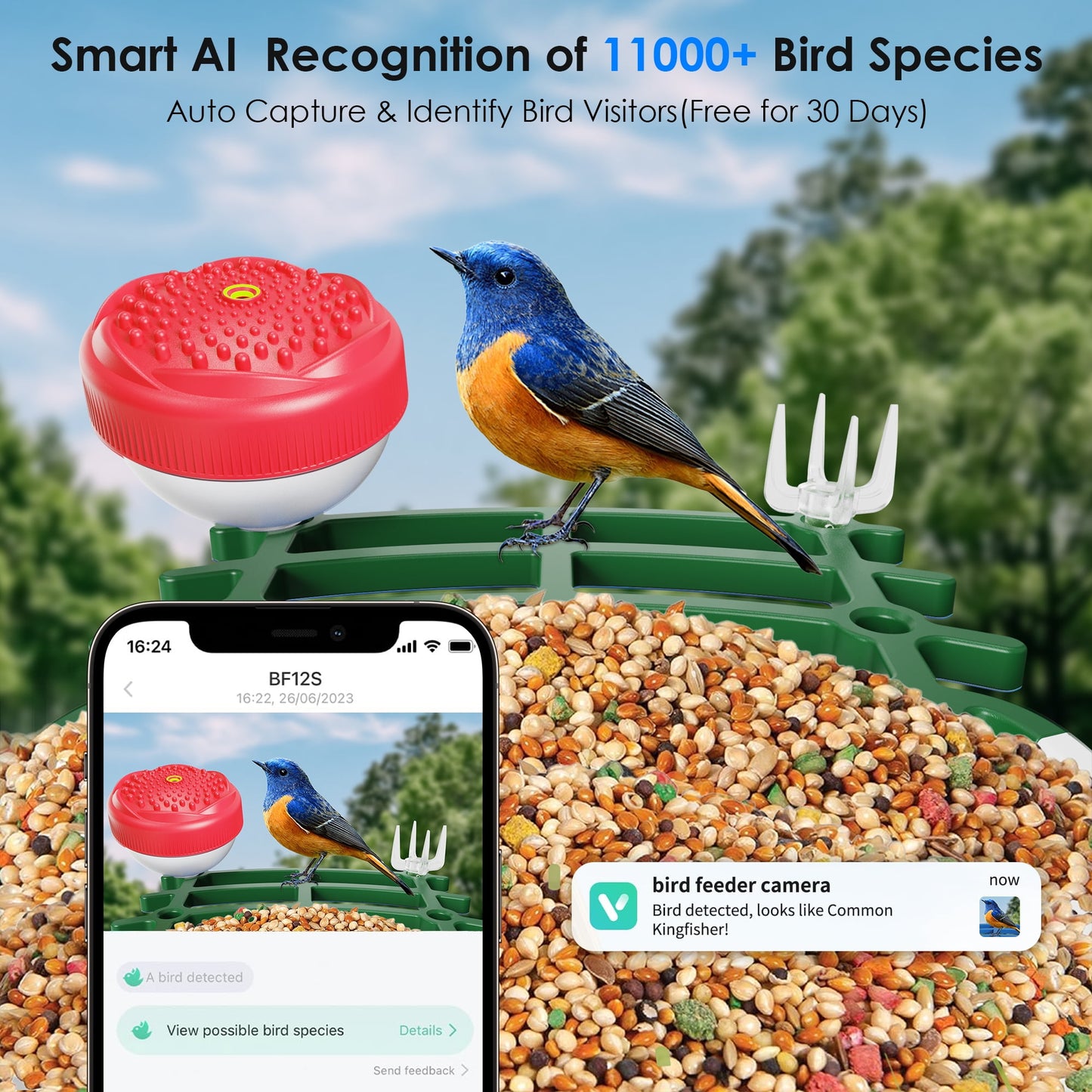 ImmSss Bird Feeder with Camera, AI Identify Bird Species,Solar Smart Hummingbird House with 2.5K HD Cam,Live View,Instant Arrival Alerts,Capture Bird Video,Squirrel-Proof,Ideal Gift for Bird Lover