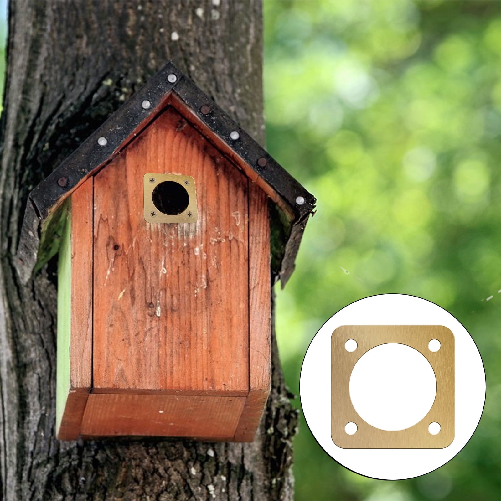NUAHRHY 10Pcs Bird House Guard with Copper Portal 1 1/2 Inch Opening Rustproof Metal Bluebird House Predator Guard with Screw Sturdy Bird House Hole Protector Guard for Outdoor