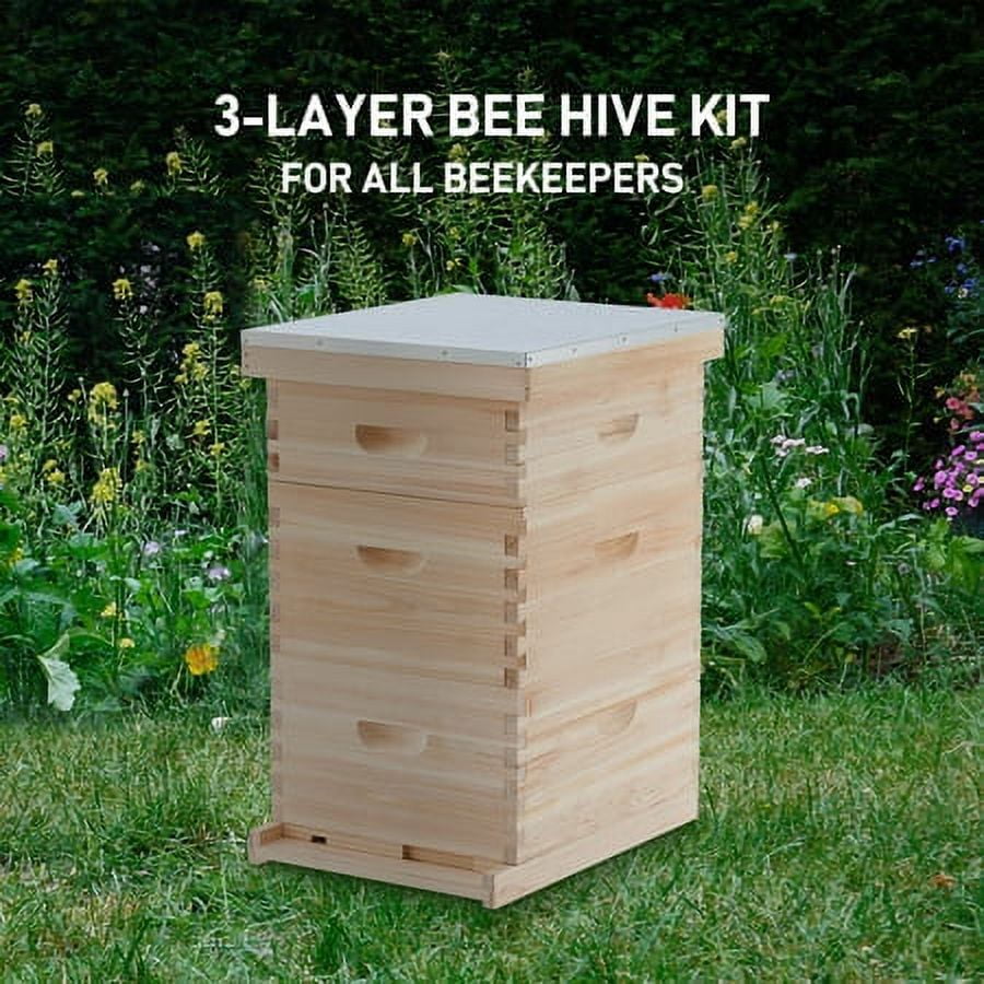 20 Deep Frame & 10 Medium Frame w/ 3 Brood Boxes Hive Frame/Bee Hive Frame/Beehive Frames w/ Metal Roof for Beekeeping