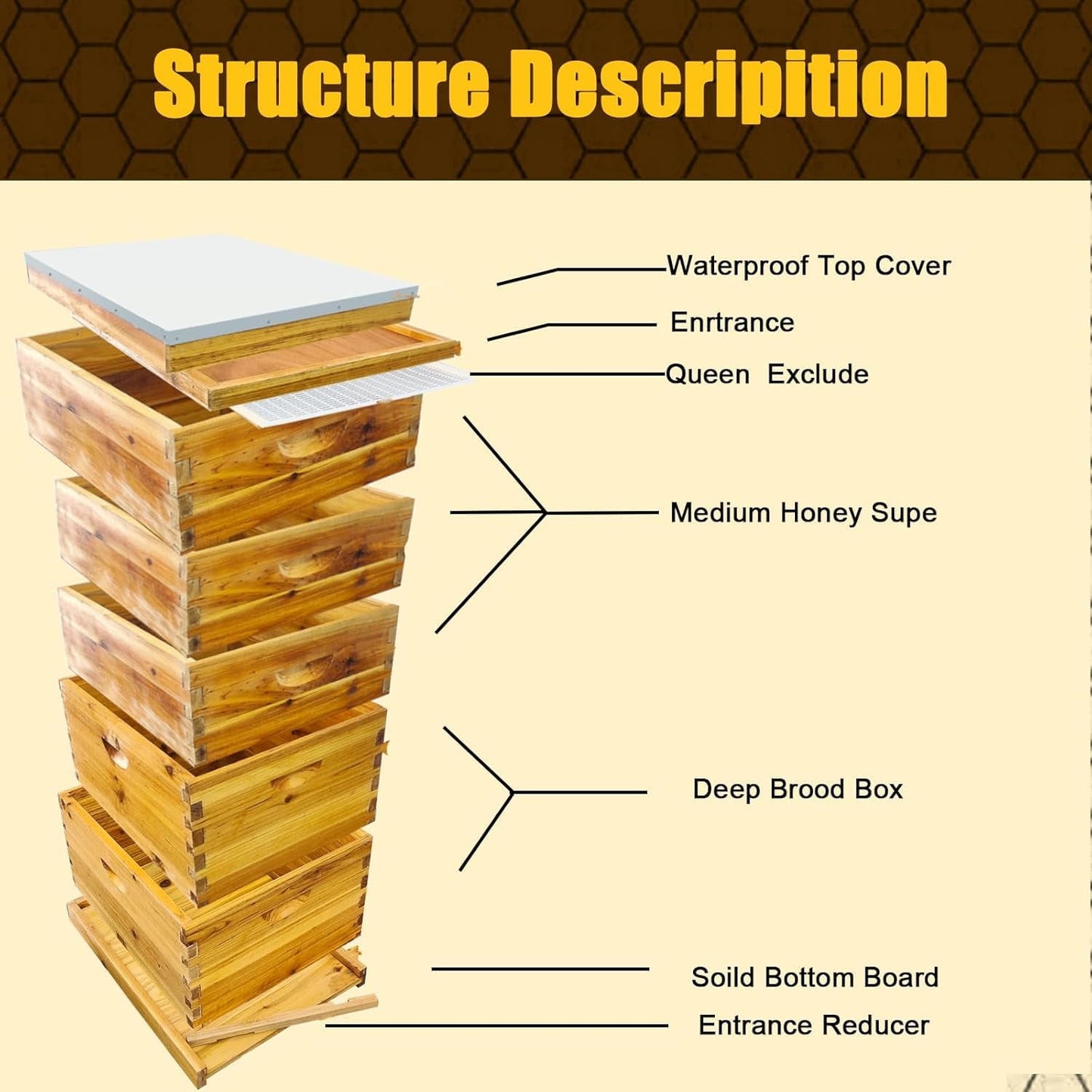 5 Layer Beehive, Bee Hive Dipped in 100% Beeswax, Include Queen Excluder & Foundation & Cover (2 Deep Hive Bee Box & 3 Super Bee Hive) Frameless