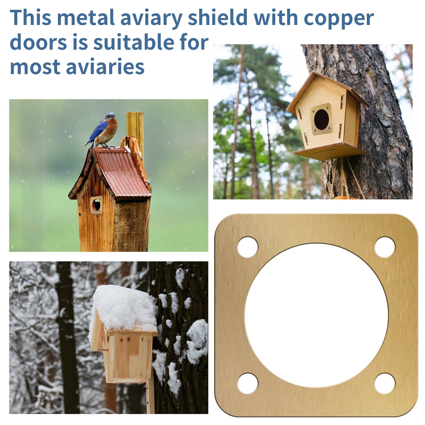 NUAHRHY 10Pcs Bird House Guard with Copper Portal 1 1/2 Inch Opening Rustproof Metal Bluebird House Predator Guard with Screw Sturdy Bird House Hole Protector Guard for Outdoor