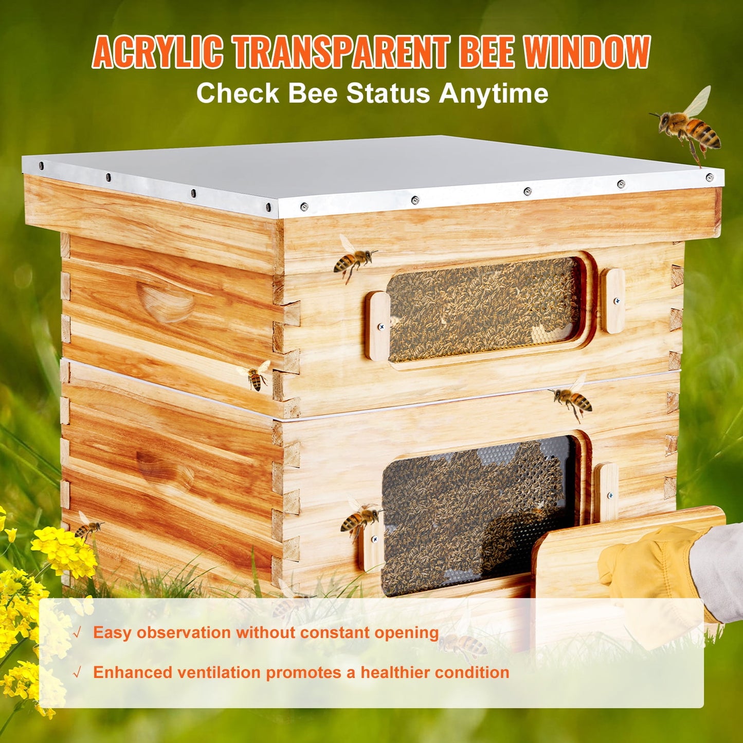 KFFKFF Bee Hive Langstroth Kit 10 Deep & 10 Medium Frames with Acrylic Windows
