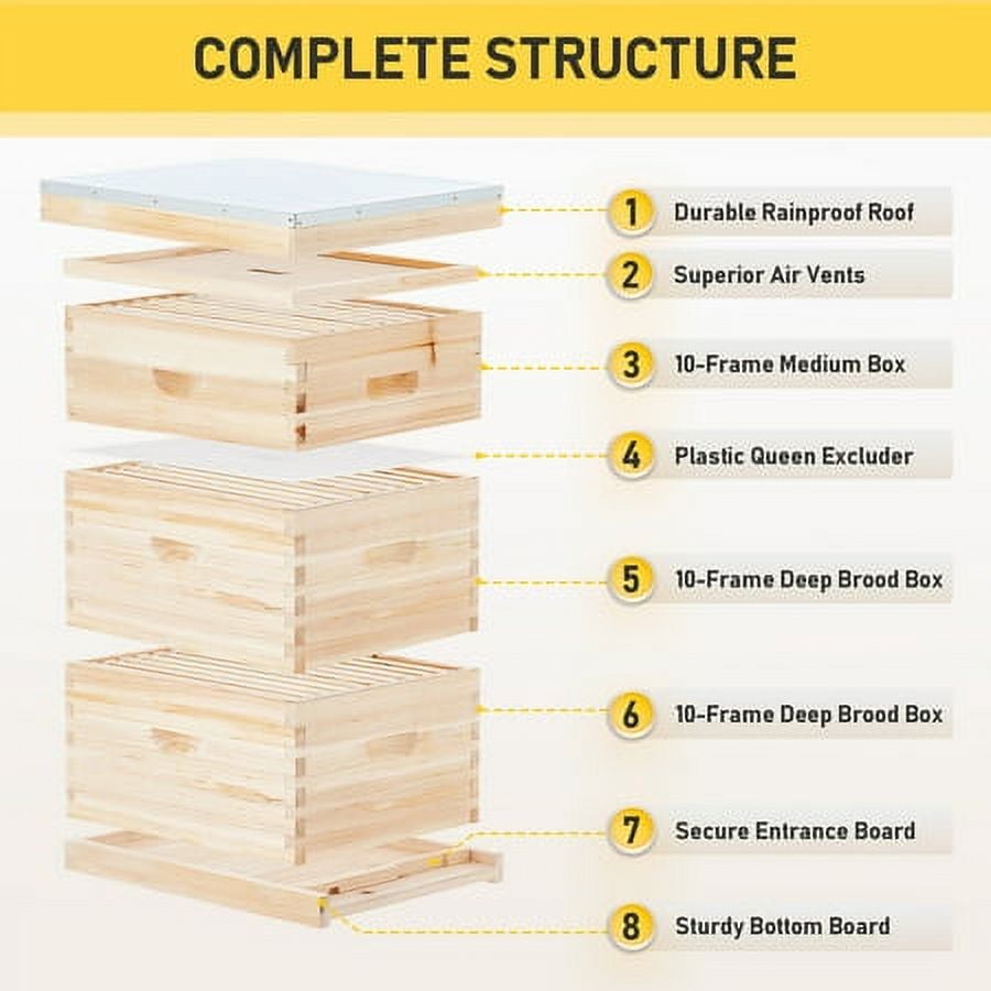 20 Deep Frame & 10 Medium Frame w/ 3 Brood Boxes Hive Frame/Bee Hive Frame/Beehive Frames w/ Metal Roof for Beekeeping